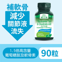 Glucosamine 750 & Chondroitin 600 Extra Strength (90 Tablets)