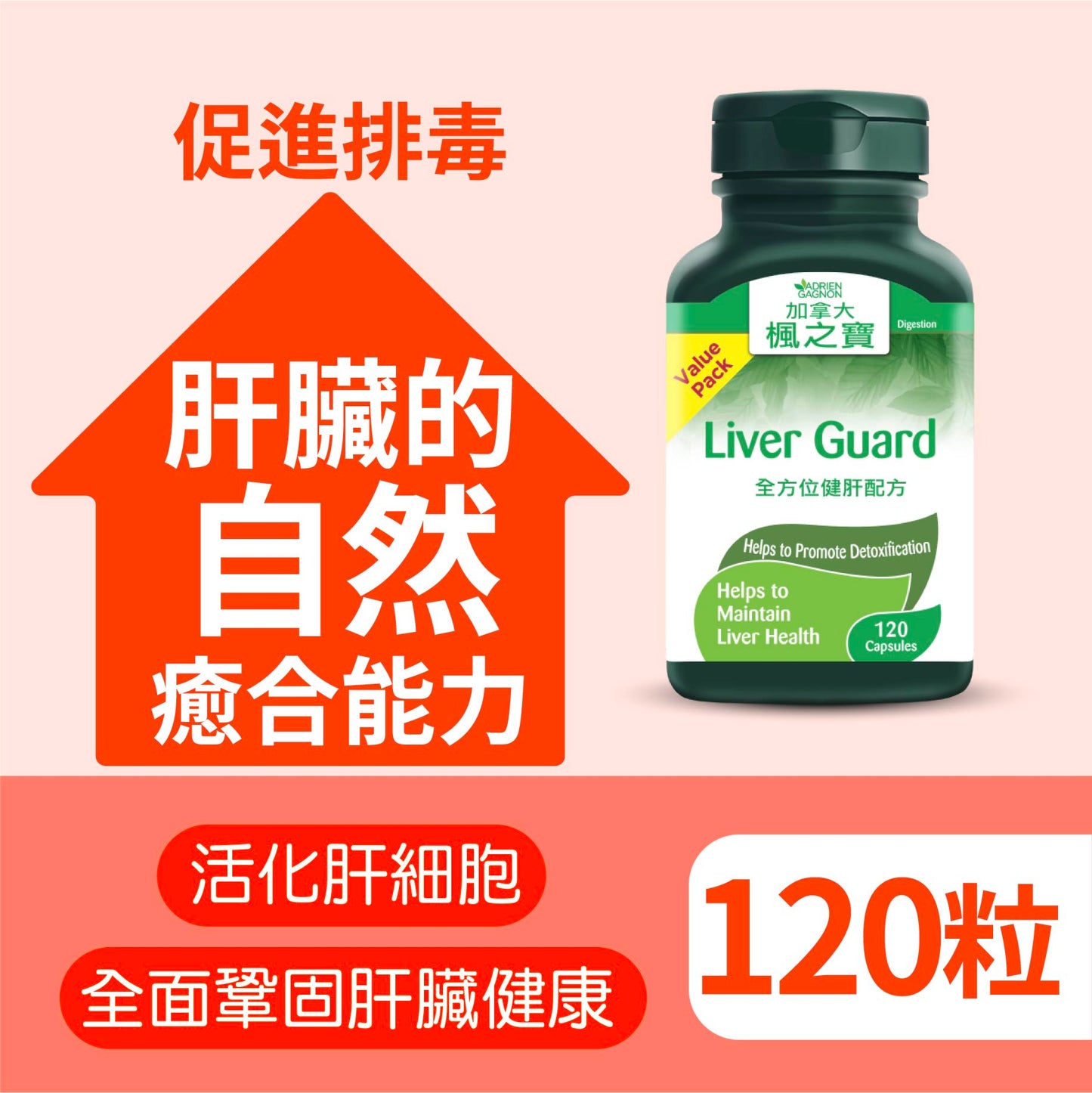 Comprehensive Liver Health Formula (120 Capsules)