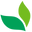 加拿大楓之寶 logo