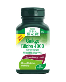Extra Strength Brain Ginkgo 4000 (90 Capsules)