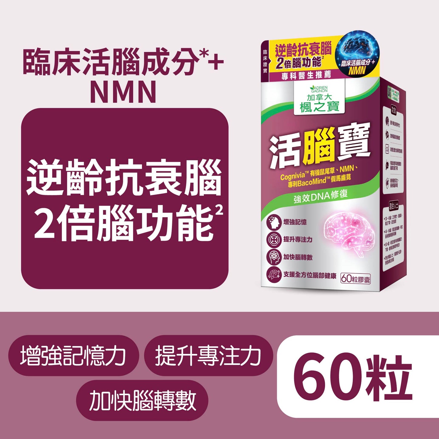 活腦寶 + NMN (60粒)